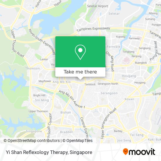 Yi Shan Reflexology Therapy map