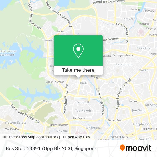 Bus Stop 53391 (Opp Blk 203) map