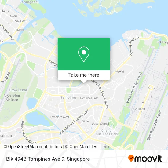 Blk 494B Tampines Ave 9 map