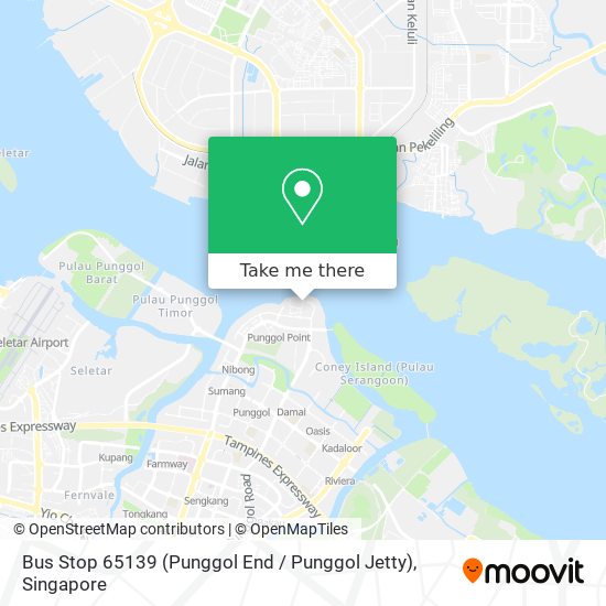 Bus Stop 65139 (Punggol End / Punggol Jetty)地图