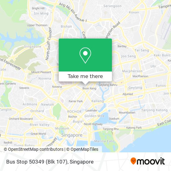 Bus Stop 50349 (Blk 107)地图