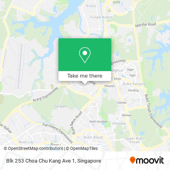 Blk 253 Choa Chu Kang Ave 1 map