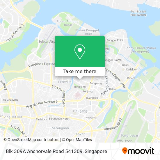 Blk 309A Anchorvale Road 541309 map