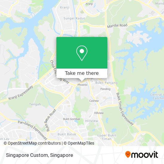 Singapore Custom map