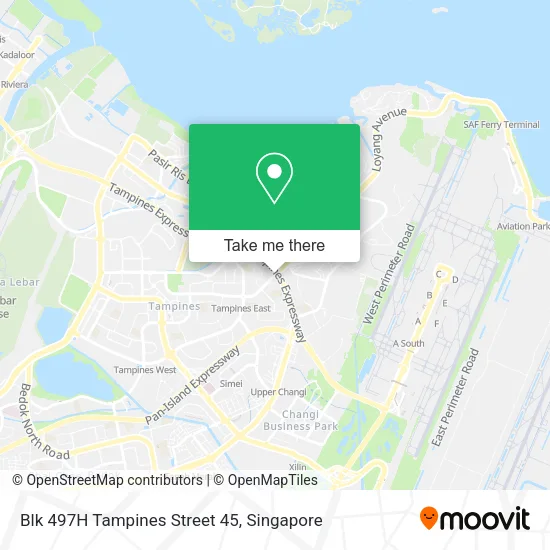 Blk 497H Tampines Street 45 map