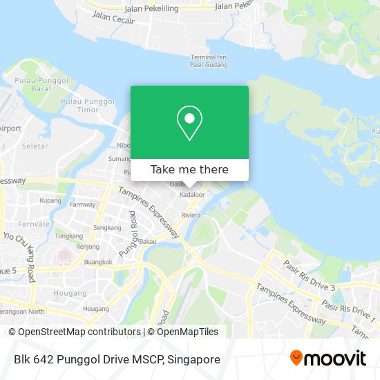 Blk 642 Punggol Drive MSCP地图
