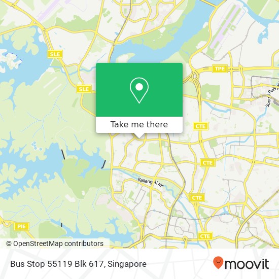Bus Stop 55119 Blk 617 map