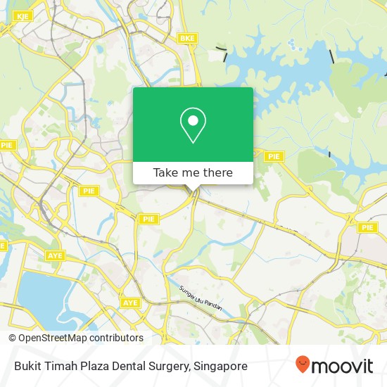 Bukit Timah Plaza Dental Surgery地图