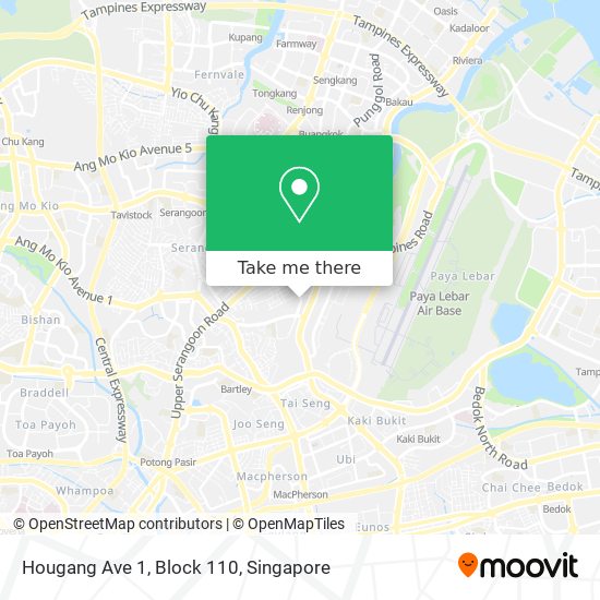 Hougang Ave 1, Block 110 map