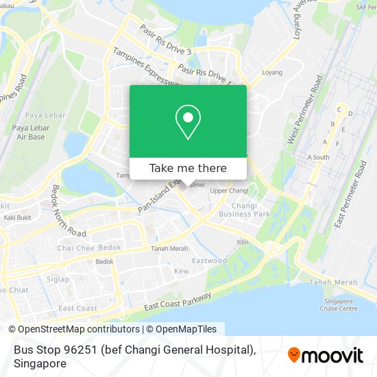 Bus Stop 96251 (bef Changi General Hospital) map