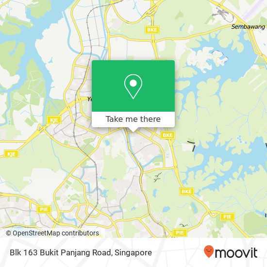 Blk 163 Bukit Panjang Road map