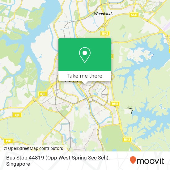 Bus Stop 44819 (Opp West Spring Sec Sch)地图