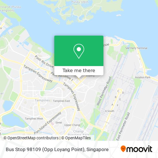 Bus Stop 98109 (Opp Loyang Point) map