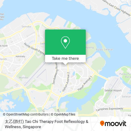 太乙(跌打) Tao Chi Therapy Foot Reflexology & Wellness map