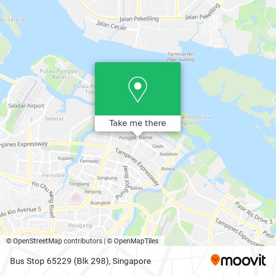 Bus Stop 65229 (Blk 298) map