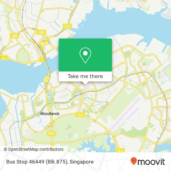 Bus Stop 46449 (Blk 875) map