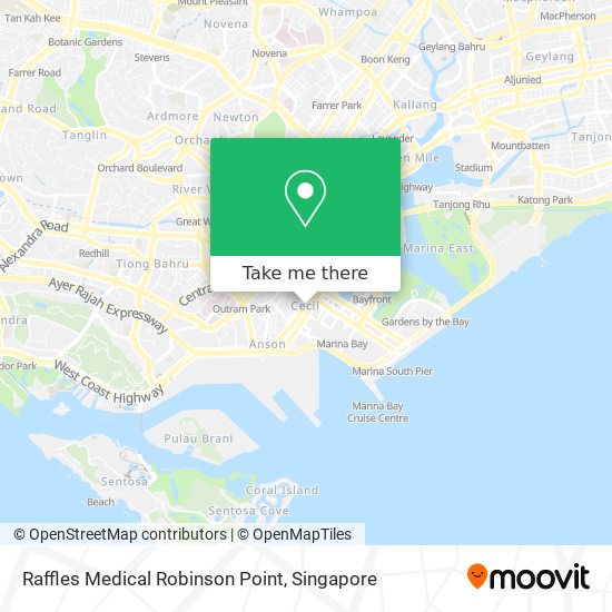 Raffles Medical Robinson Point地图