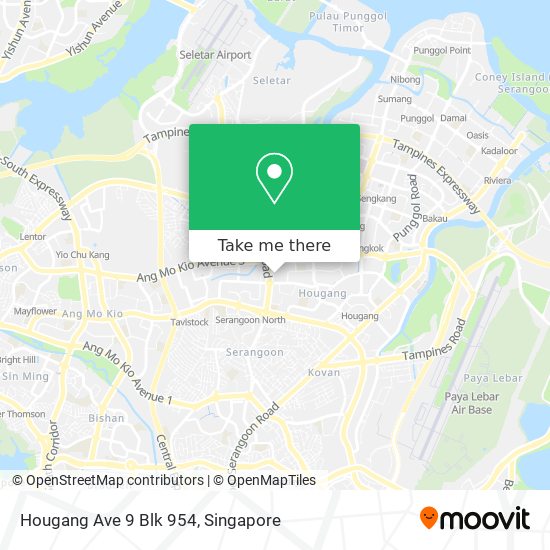 Hougang Ave 9 Blk 954 map