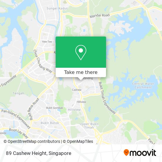 89 Cashew Height map