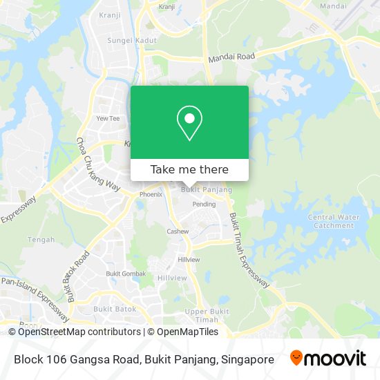 Block 106 Gangsa Road, Bukit Panjang map