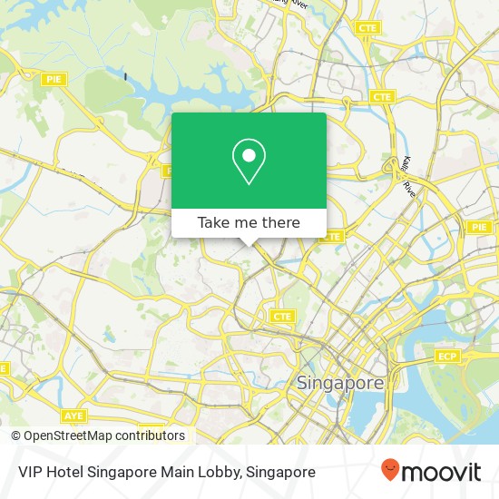 VIP Hotel Singapore Main Lobby地图