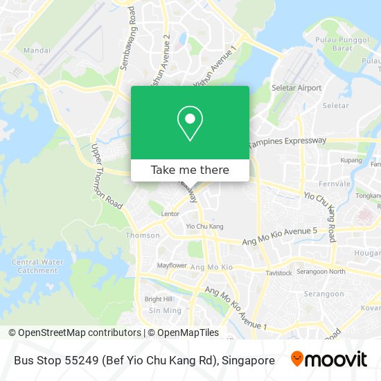 Bus Stop 55249 (Bef Yio Chu Kang Rd)地图