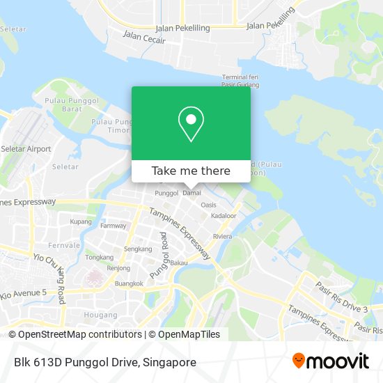 Blk 613D Punggol Drive map