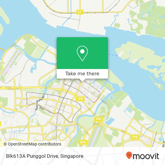 Blk613A Punggol Drive地图