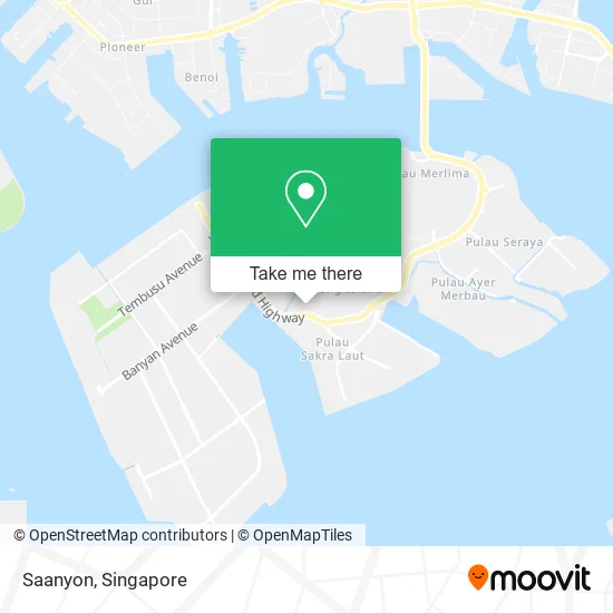 Saanyon地图