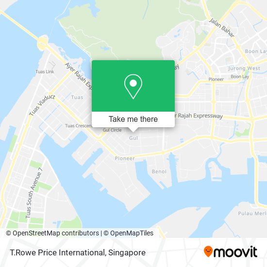 T.Rowe Price International map