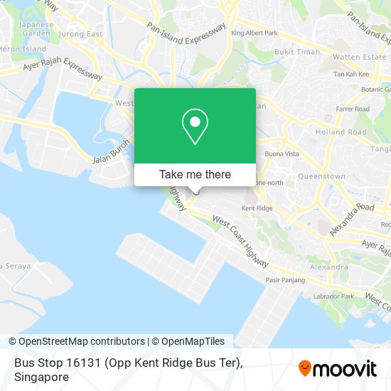 Bus Stop 16131 (Opp Kent Ridge Bus Ter)地图