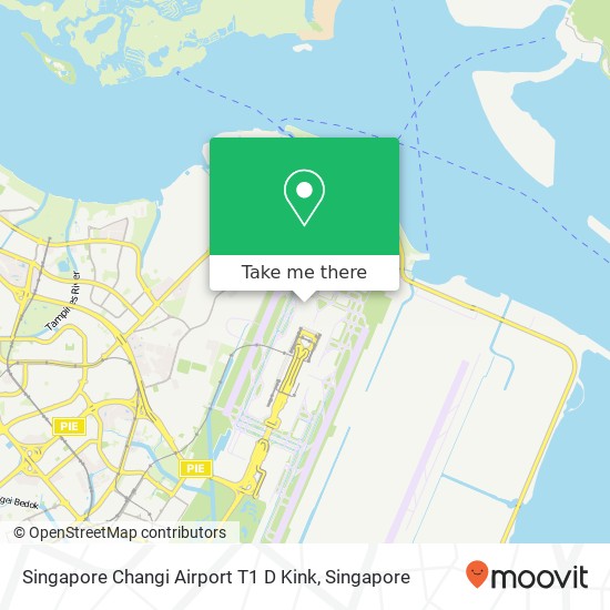 Singapore Changi Airport T1 D Kink地图