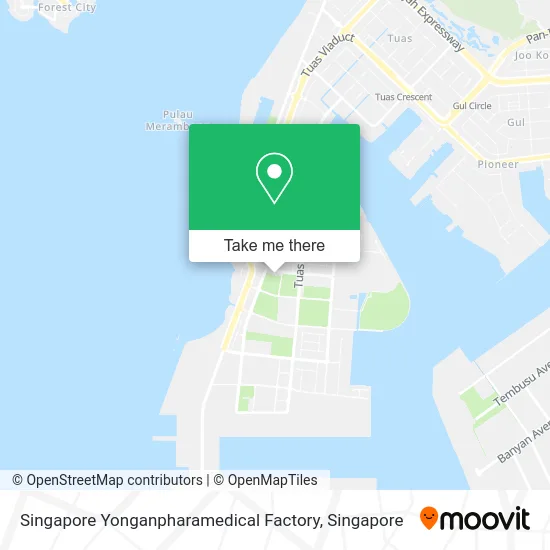 Singapore Yonganpharamedical Factory地图