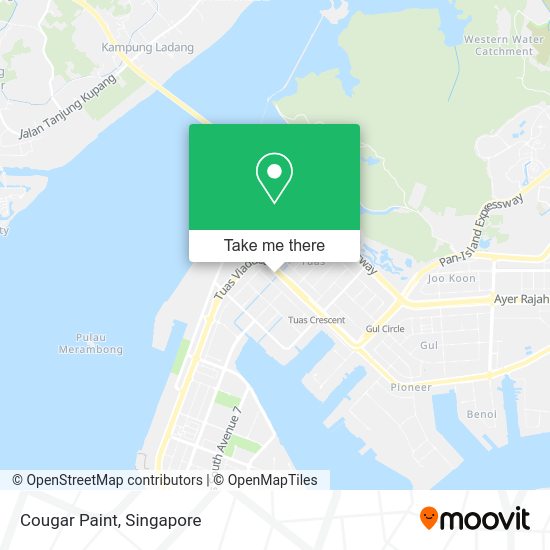 Cougar Paint map