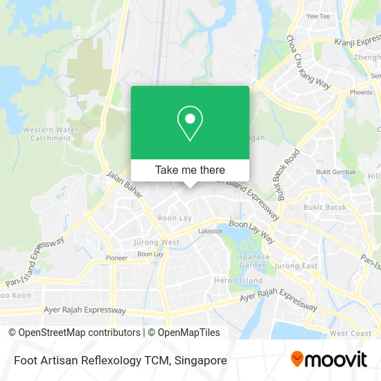 Foot Artisan Reflexology TCM map