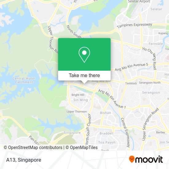 A13 map