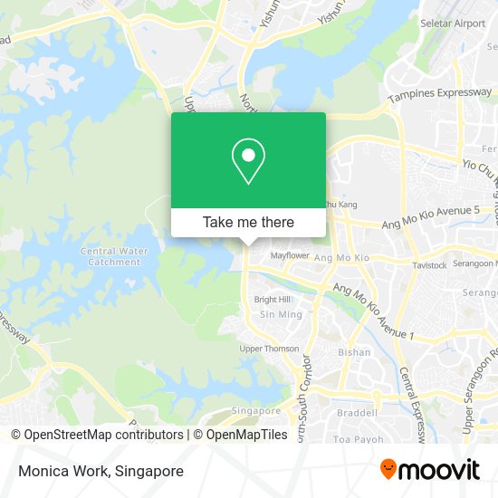 Monica Work map