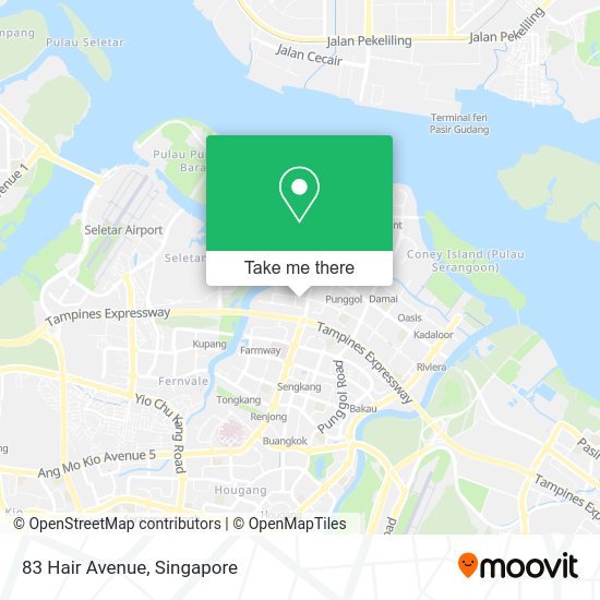 83 Hair Avenue map