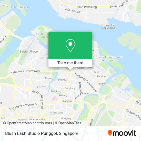 Blush Lash Studio Punggol map