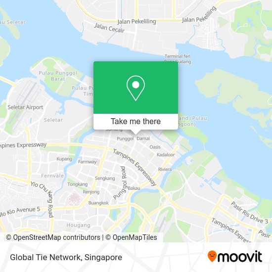 Global Tie Network map