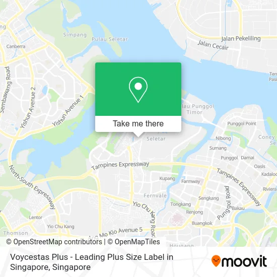 Voycestas Plus - Leading Plus Size Label in Singapore地图
