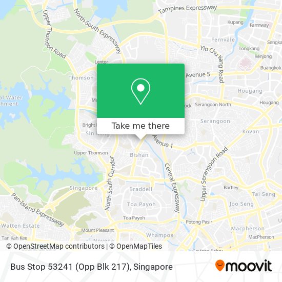 Bus Stop 53241 (Opp Blk 217)地图