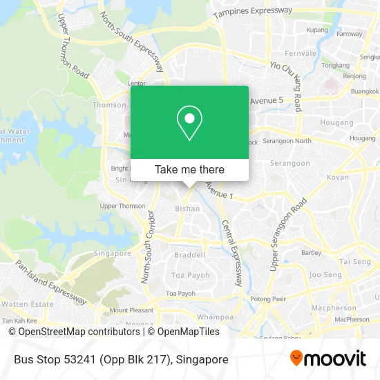 Bus Stop 53241 (Opp Blk 217) map