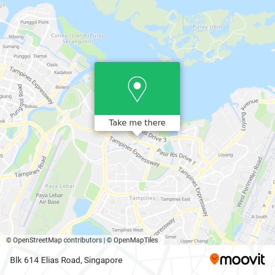 Blk 614 Elias Road map