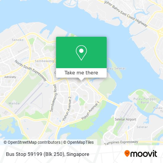 Bus Stop 59199 (Blk 250) map