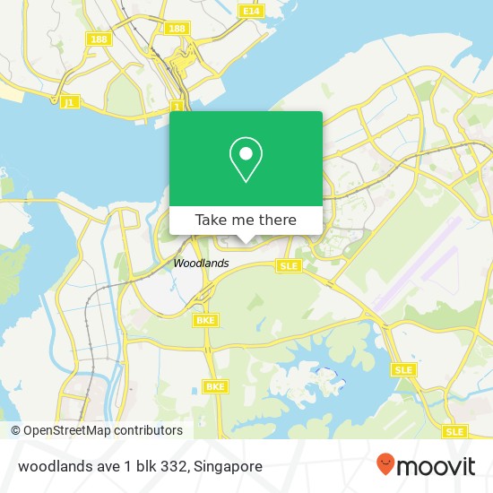 woodlands ave 1 blk 332 map