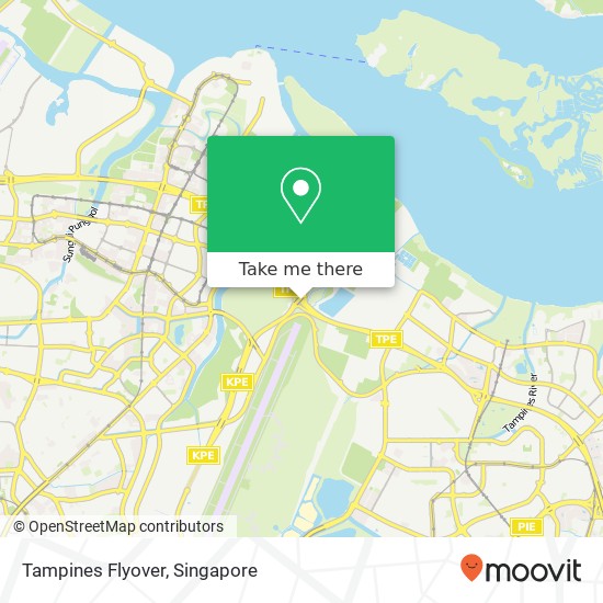 Tampines Flyover map