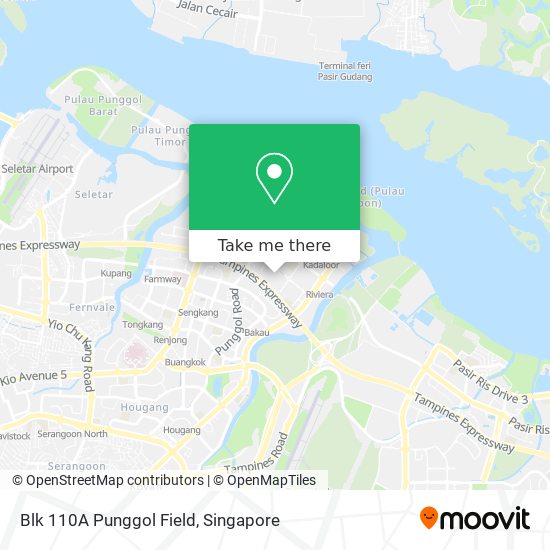 Blk 110A Punggol Field map