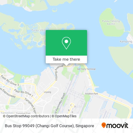 Bus Stop 99049 (Changi Golf Course) map