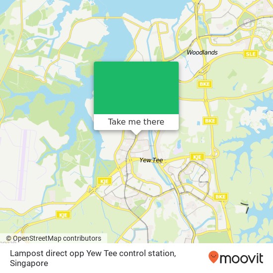 Lampost direct opp Yew Tee control station地图